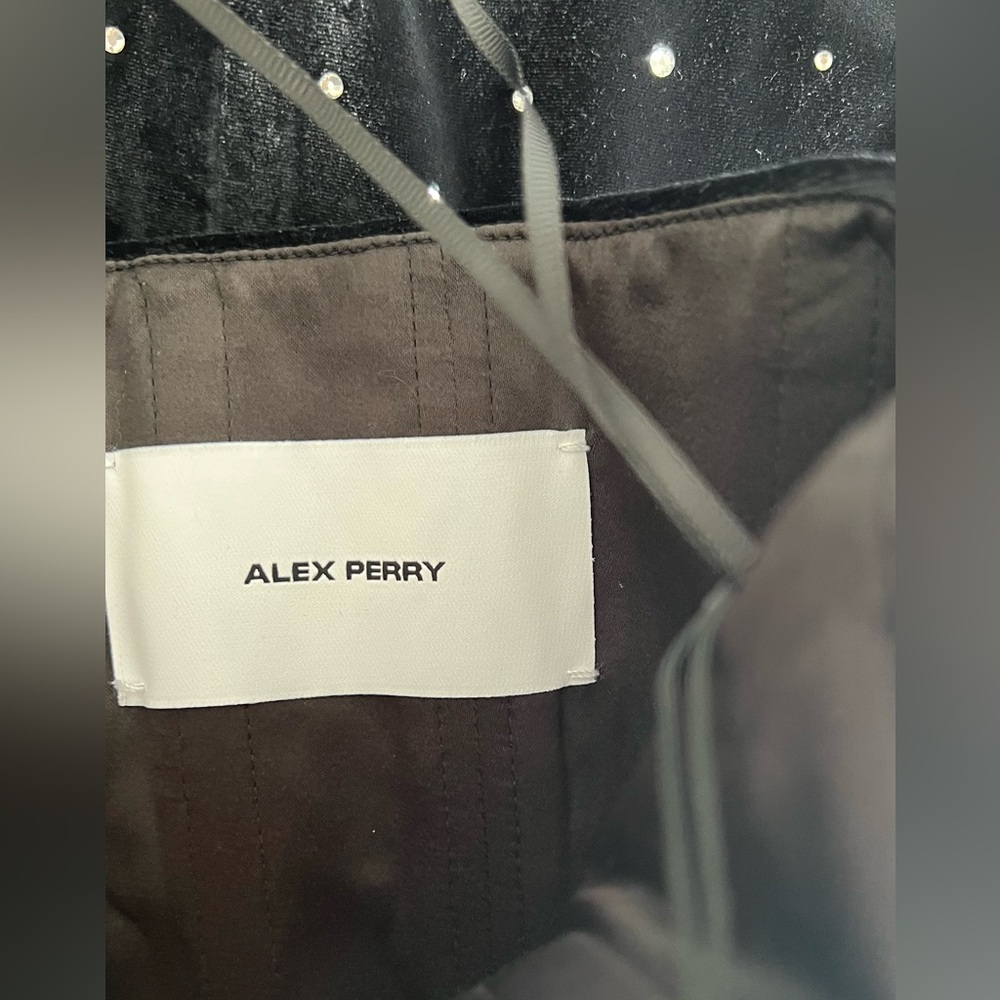 Alex Perry / Crystal Velvet Mini Dress / Size 8 & 10 🩵 Today special 🩵 - Picture 9 of 11